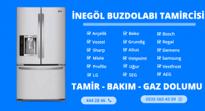 İnegöl Buzdolabı Tamircisi