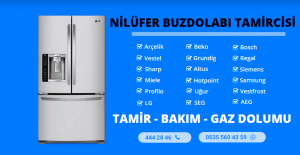 Nilüfer Buzdolabı Tamircisi