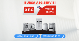 Aeg Servisi Bursa