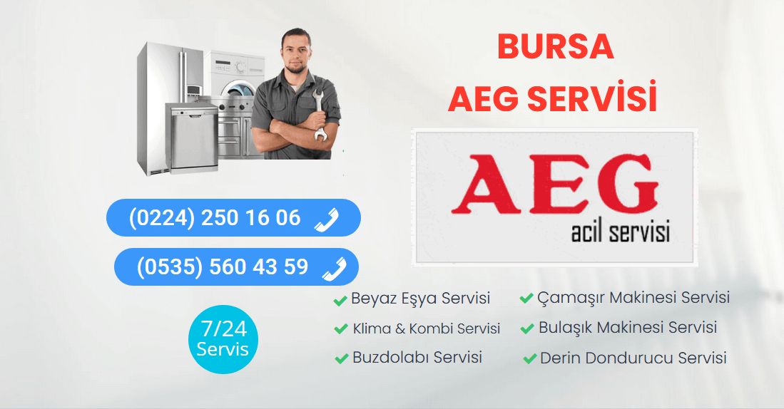Bursa Aeg Servisi