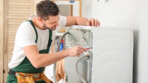 Bursa Electrolux Servisi