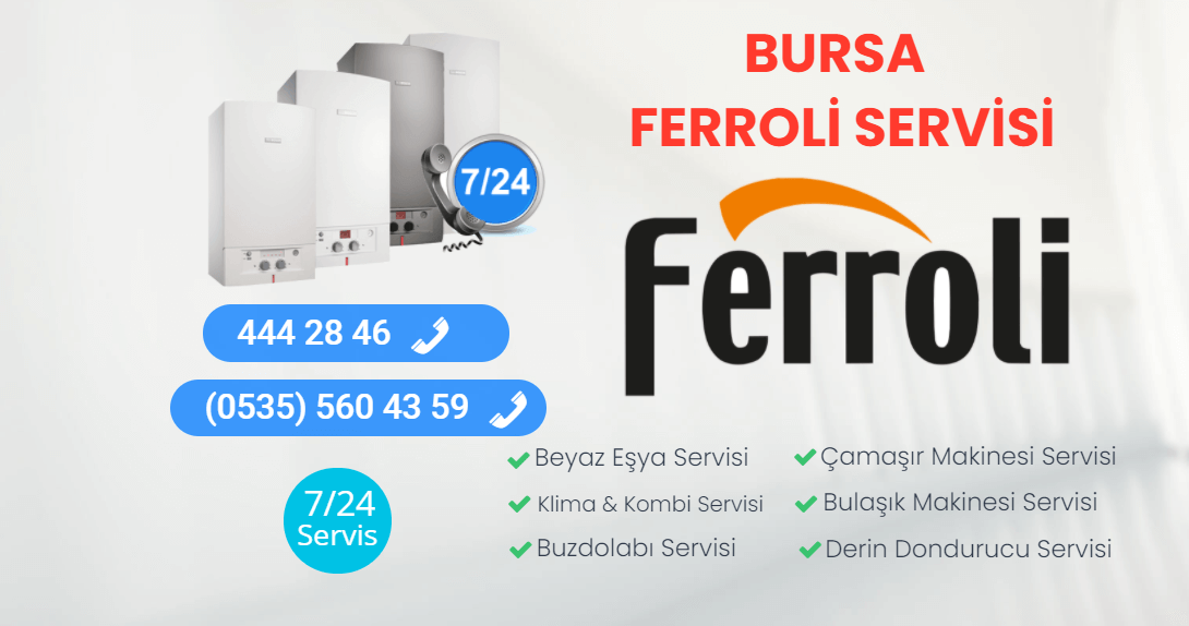 Bursa Ferroli Servisi