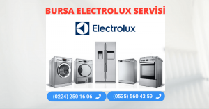 Electrolux Servisi Bursa