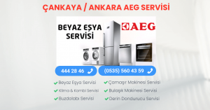 Aeg Servisi Çankaya