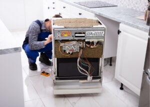 Bayraklı Ariston Servisi