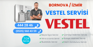 Bornova Vestel Servisi