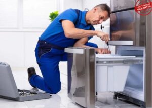 Buca Gaggenau Servisi