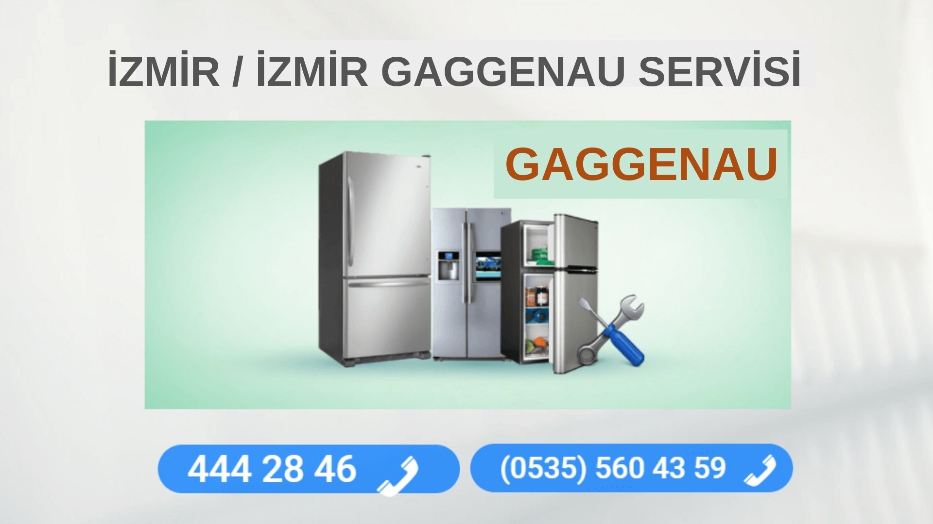 İzmir Gaggenau Beyaz Eşya Tamircisi