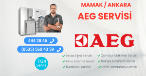 Mamak Aeg Servisi