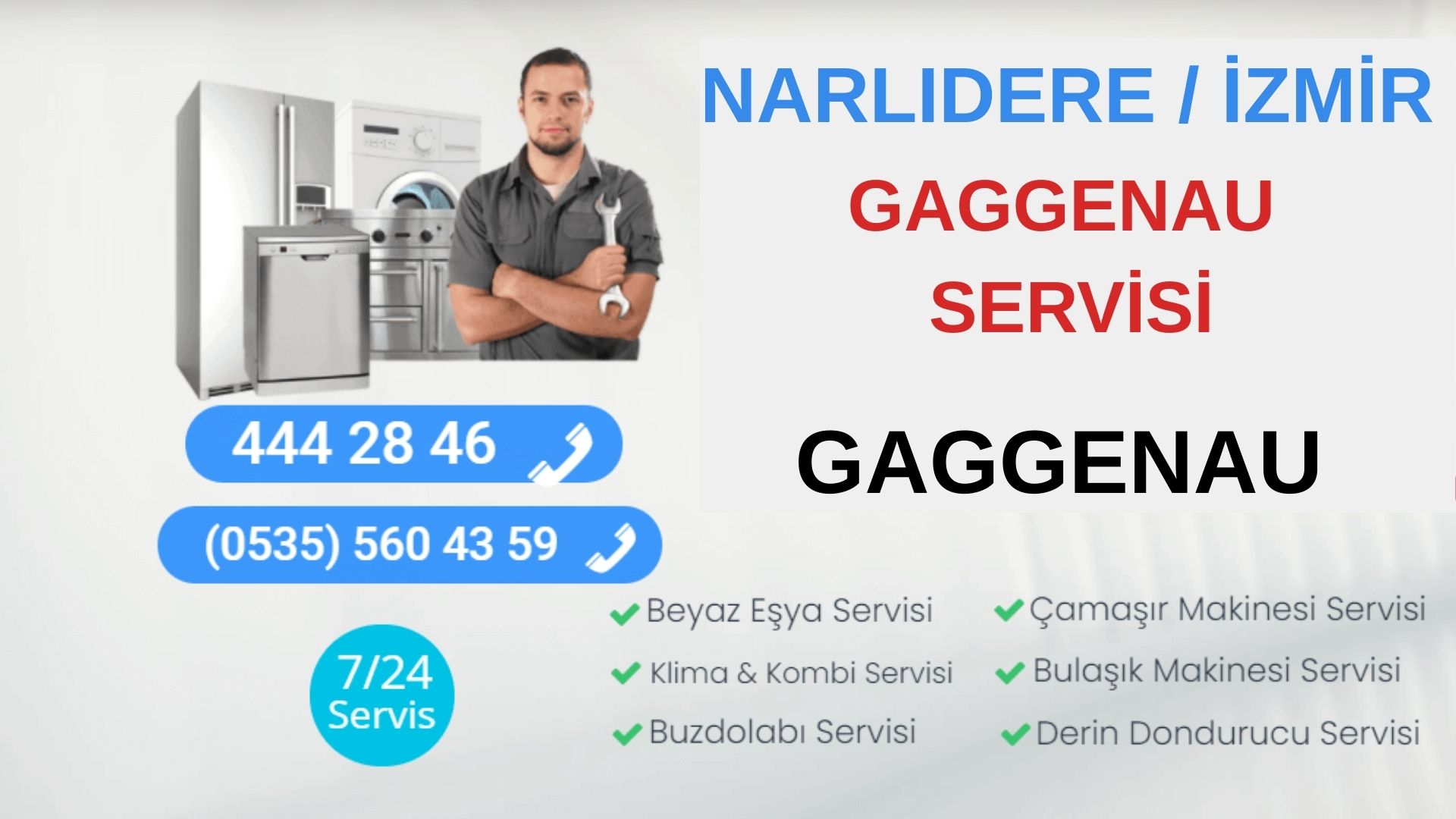 Narlıdere Gaggenau Servisi