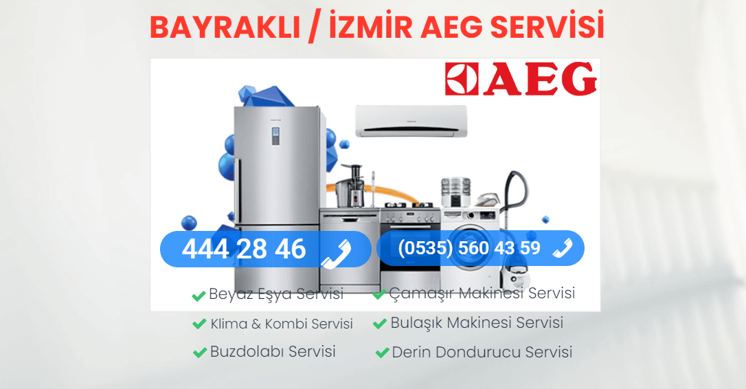 Aeg Servisi Bayraklı