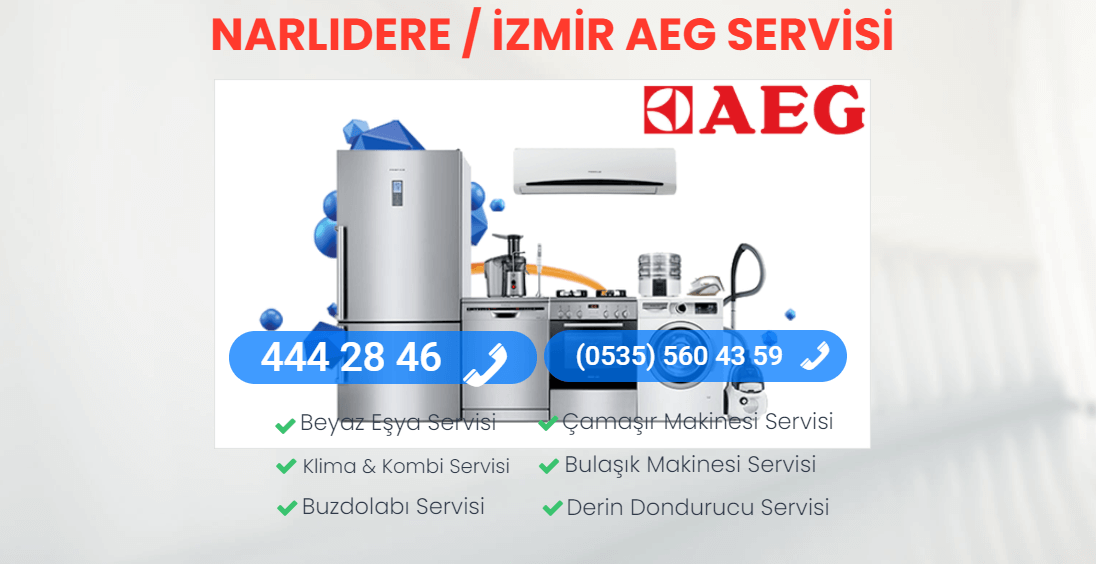 Aeg Servisi Narlıdere