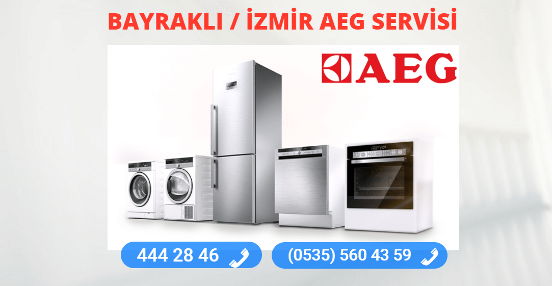 Bayraklı Aeg Teknik Servisi