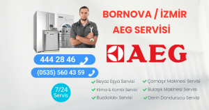 Bornova Aeg Servisi