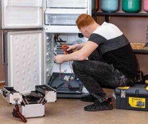 Buca Electrolux Servisi