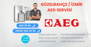 Güzelbahçe Aeg Servisi