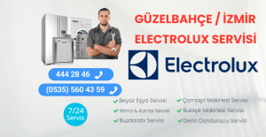 Güzelbahçe Elextrolux Servisi