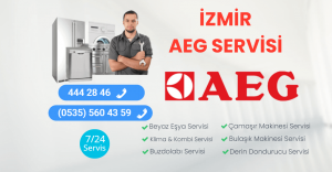 İzmir Aeg Servisi