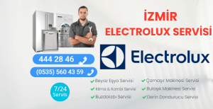 İzmir Electrolux Servisi