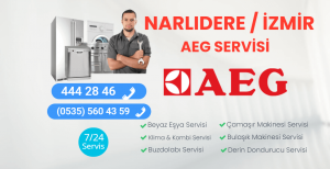 Narlıdere Aeg Servisi