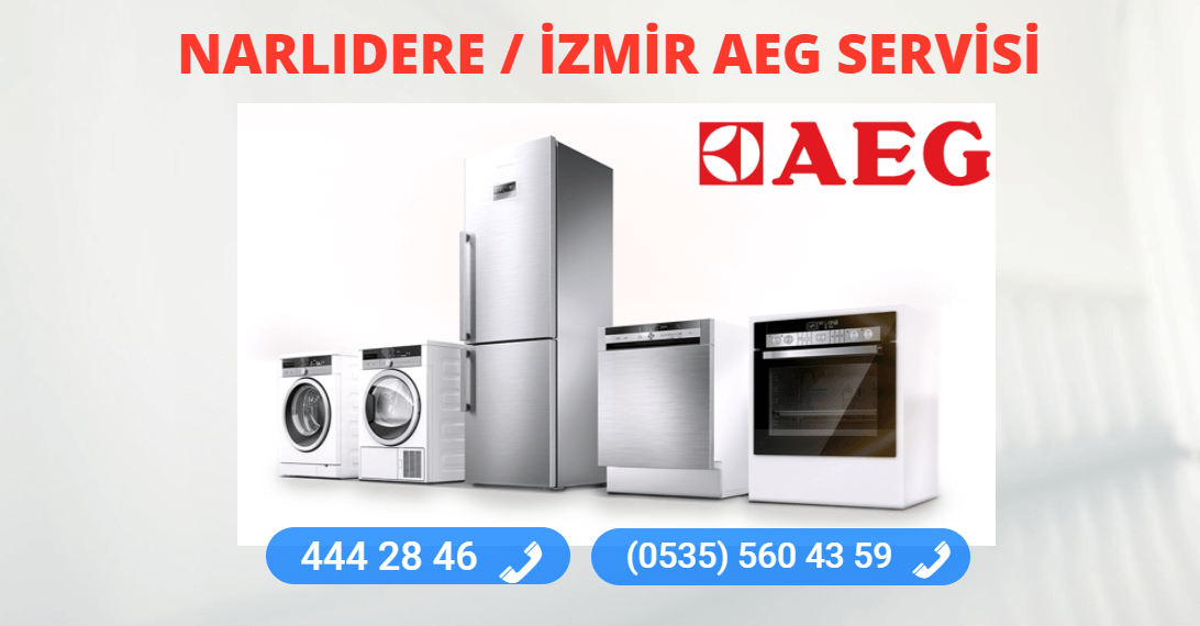 Narlıdere Aeg Teknik Servisi