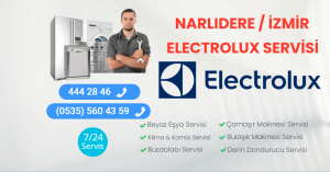 Narlıdere Electrolux Servisi