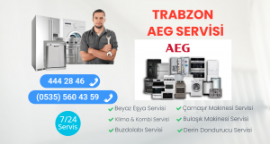 Trabzon Aeg Servisi
