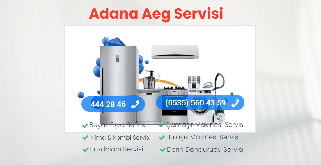 Adana Aeg Servisi