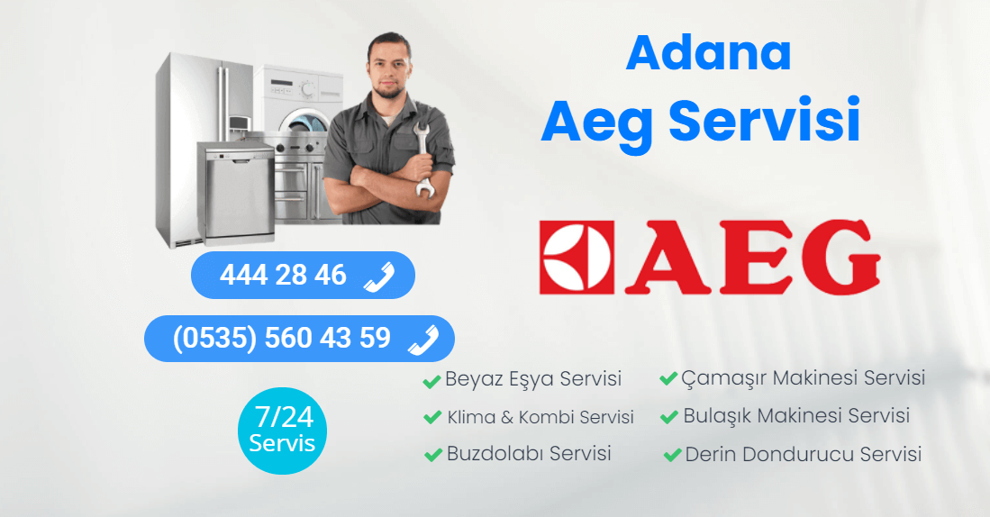 Adana Aeg Teknik Servisi