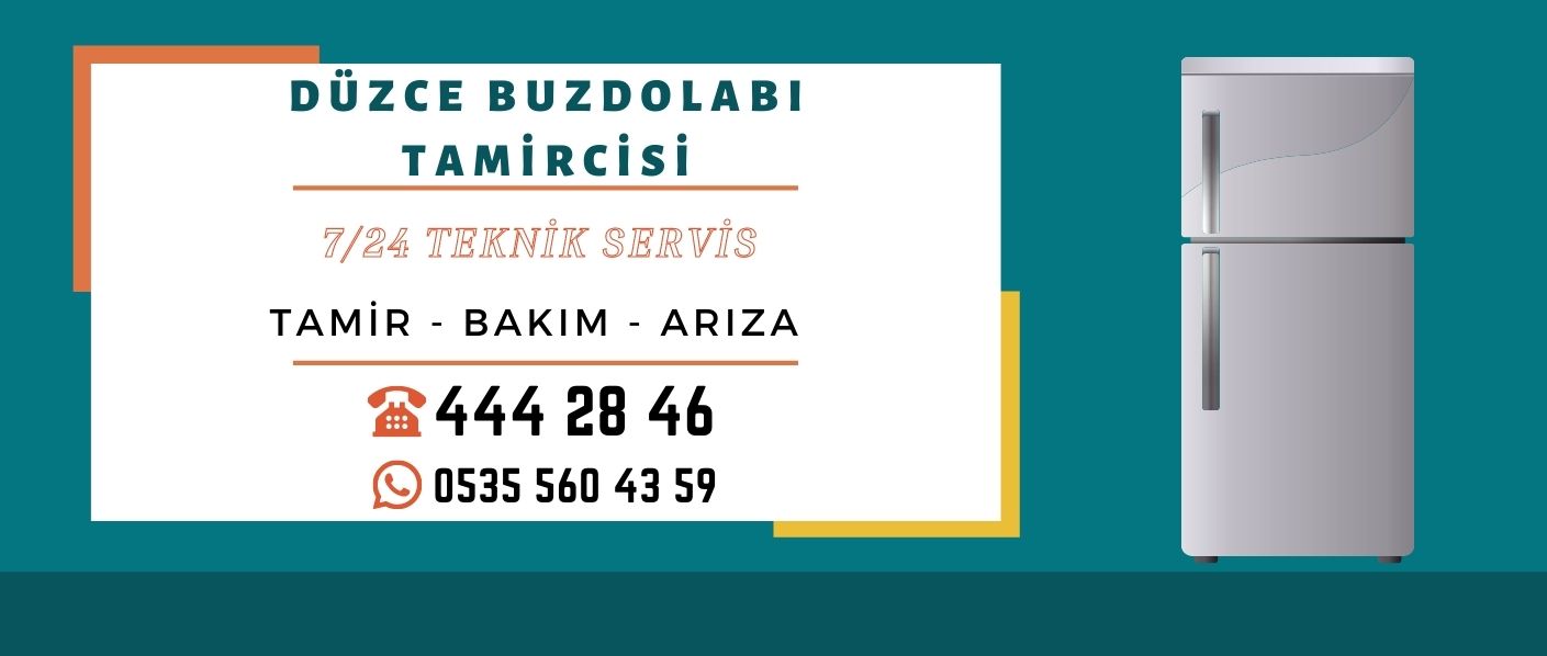 Düzce Buzdolabı Tamircisi