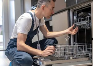 Karabağlar Elektrolux servisi